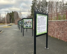 Краеведческий музей открыл выставку о себе - накануне своего юбилея