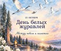 22 октября в России и мире отмечают День белых журавлей