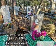 На старом кладбище Заречного упала крупная берёза