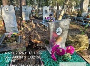 На старом кладбище Заречного упала крупная берёза