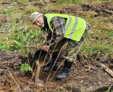 В Режиковском лесничестве высадили сибирские ели в рамках акции «Сохраним лес»
