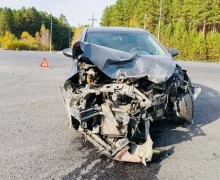 Госавтоинспекция Заречного: 182 ДТП за период с 1 сентября по 18 октября 2026 года