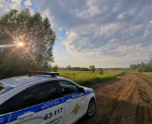 Профилактическая акция «Безопасная дорога» стартует в Свердловской области