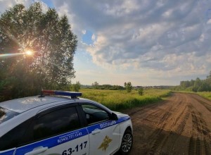 Профилактическая акция «Безопасная дорога» стартует в Свердловской области