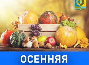 ОСЕННИЕ ЯРМАРКИ