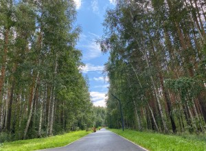 Благоустройство пешеходной аллеи завершено