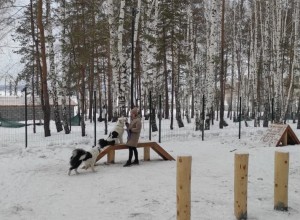 Зареченцы уже активно осваивают будущий экопарк!