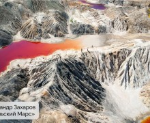 Подведены итоги конкурса «Красная ящерица – 2025»!