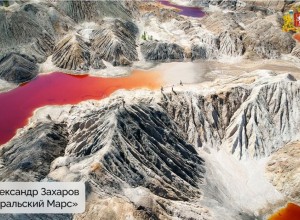 Подведены итоги конкурса «Красная ящерица – 2025»!