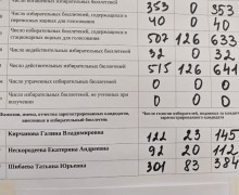 Итоги голосования в округе №14: победу одержала Шибаева Татьяна