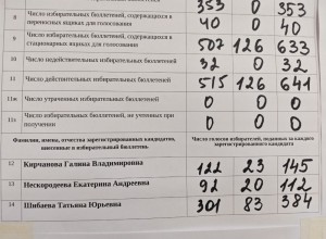 Итоги голосования в округе №14: победу одержала Шибаева Татьяна