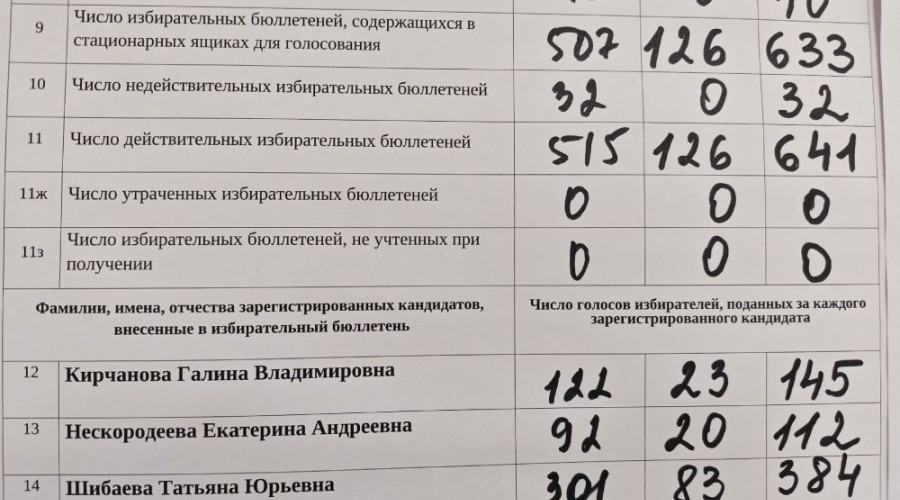 Итоги голосования в округе №14: победу одержала Шибаева Татьяна