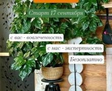 «Атомные цветоводы» приглашают зареченцев на трёхмесячный челлендж по озеленению