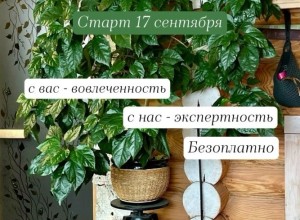 «Атомные цветоводы» приглашают зареченцев на трёхмесячный челлендж по озеленению