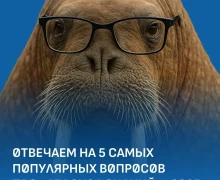 Твои знания — билет на Северный полюс