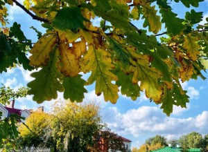 Кажется, последний день лета на Среднем Урале выпал на 23 сентября