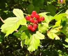 Лето пролетело, оставив яркие воспоминания и прекрасные кадры – от наших подписчиков