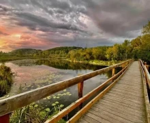 Это лучшие фото, что сделали зареченские дети