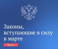 Вячеслав Володин рассказал о законах, вступающие в силу в марте