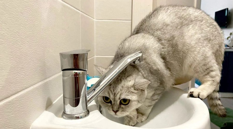 Отключение холодной воды 20 марта с 09.00