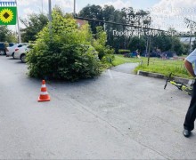 В Заречном напомнили о безопасности детей после ДТП во дворе