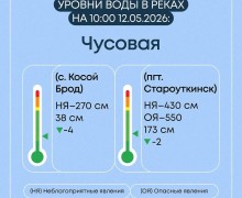 Весеннее половодье в Свердловской области: ситуация на 7 затопленных мостах и 19 населённых пунктах