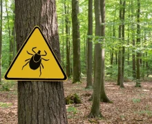 На территории муниципального округа Заречный зарегистрирован первый укус клеща