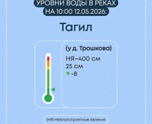 Весеннее половодье в Свердловской области: ситуация на 7 затопленных мостах и 19 населённых пунктах