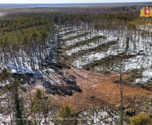 Арендаторы лесных участков Свердловской области готовы к пожароопасному сезону