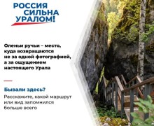 Природный парк «Оленьи ручьи»: популярное место отдыха в Свердловской области