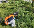 Школьное лесничество «Кедр» благоустроило территорию у Дома досуга в деревне Гагарка