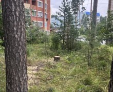 Подрядчики продолжают расчистку города после урагана