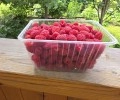 Продам отборную малину