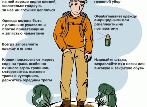 Клещи активизировались!