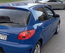 Peugeot 206, 2004