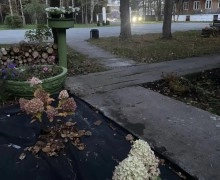 Отделение «Забота» в Заречном вновь открылось после ремонта