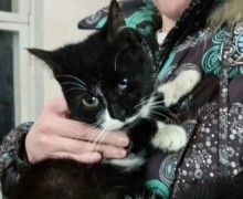 Ириска из Заречного ищет новый дом и заботливых хозяев