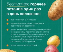 Бесплатное питание в школах: кто имеет право и как оформить льготу