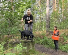 Собачья «Гонка героев» в Заречном: спорт, творчество и помощь приютам
