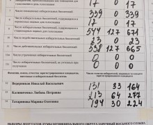 В округе №13 завершили подсчёт: Любовь Калиниченко избрана на четвёртый срок