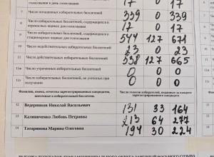 В округе №13 завершили подсчёт: Любовь Калиниченко избрана на четвёртый срок