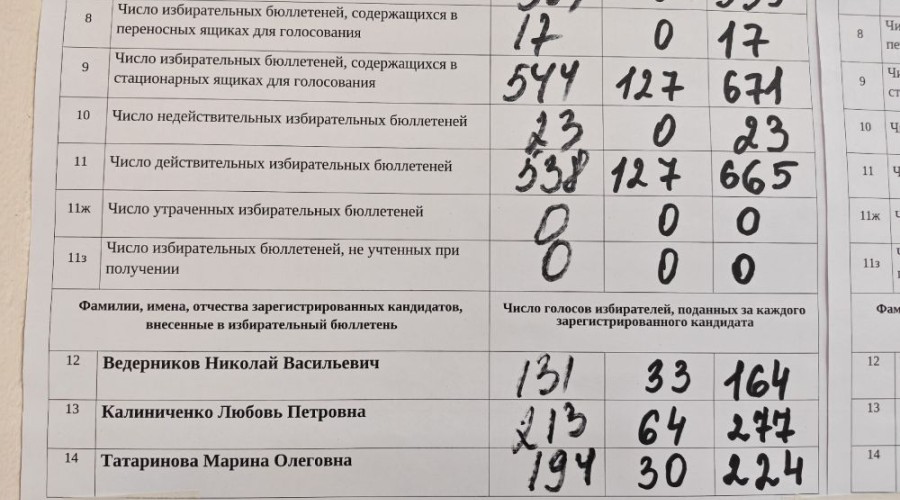 В округе №13 завершили подсчёт: Любовь Калиниченко избрана на четвёртый срок