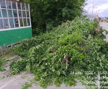 На улице Мира в Заречном проводят расчистку от кустарников