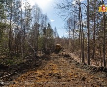 Арендаторы лесных участков Свердловской области готовы к пожароопасному сезону