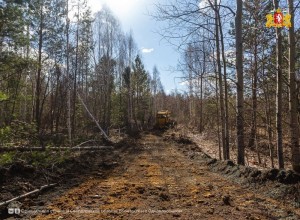 Арендаторы лесных участков Свердловской области готовы к пожароопасному сезону