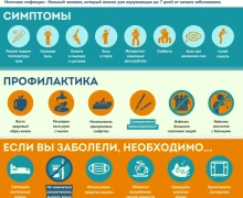 По Заречному ходит ОРВИ - берегите себя!