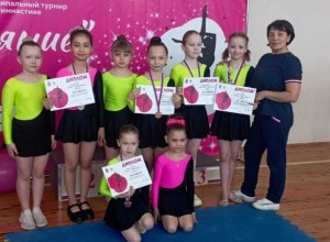 Межмуниципальный турнир по гимнастике