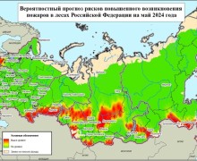 Авиалесоохрана разработала прогноз пожарной опасности в лесах России на март-сентябрь 2024 года