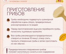 Судя по прогнозам синоптиков, нас ждут теплые выходные!