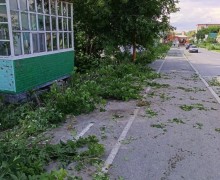 На улице Мира в Заречном проводят расчистку от кустарников